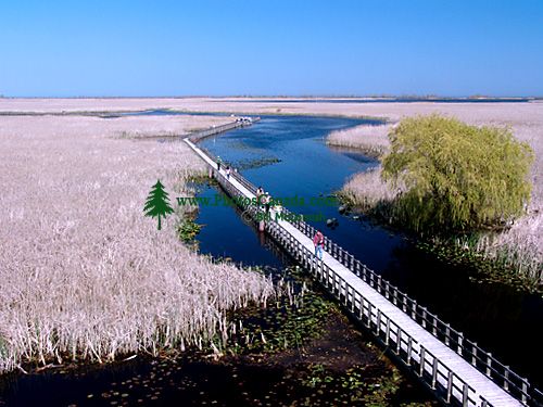 Point Pelee